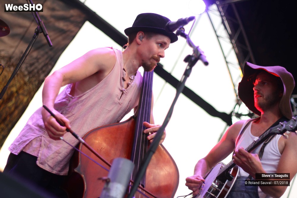 24/50 photos du spectacle Steve'n'Seagulls.