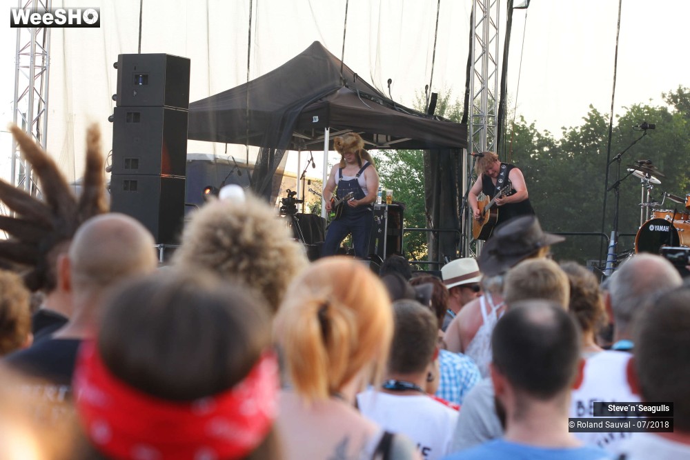 28/50 photos du spectacle Steve'n'Seagulls.
