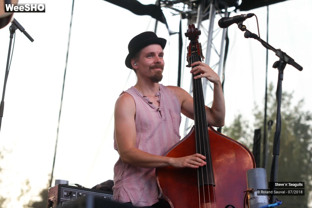 33/50 photos du spectacle Steve'n'Seagulls.