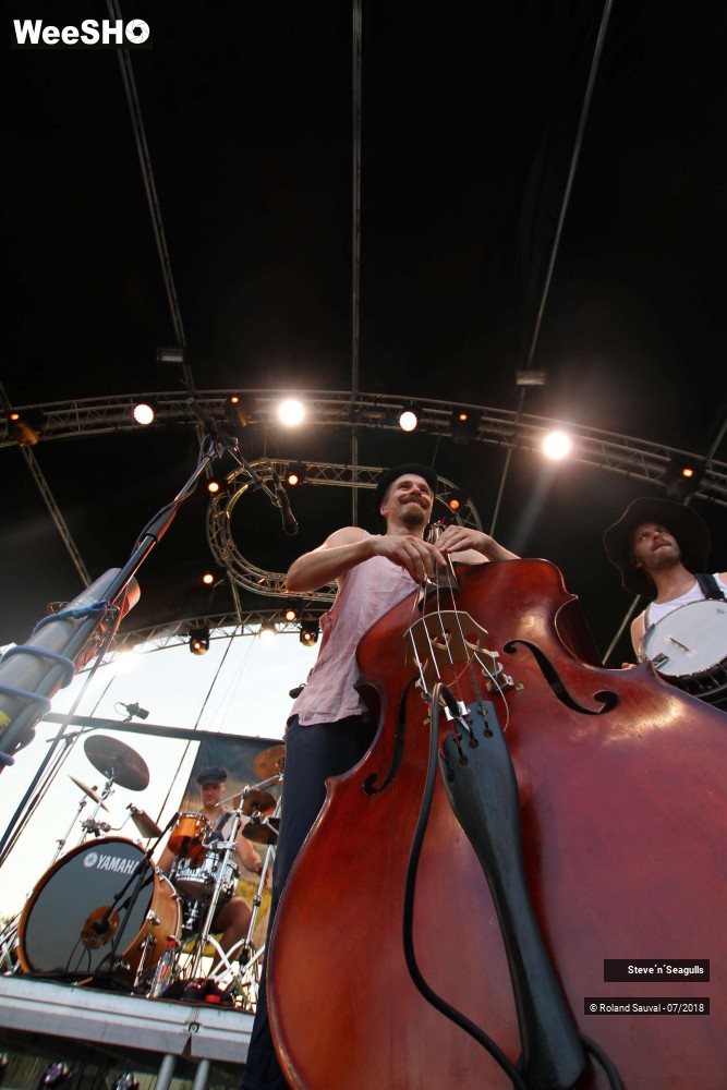 45/50 photos du spectacle Steve'n'Seagulls.