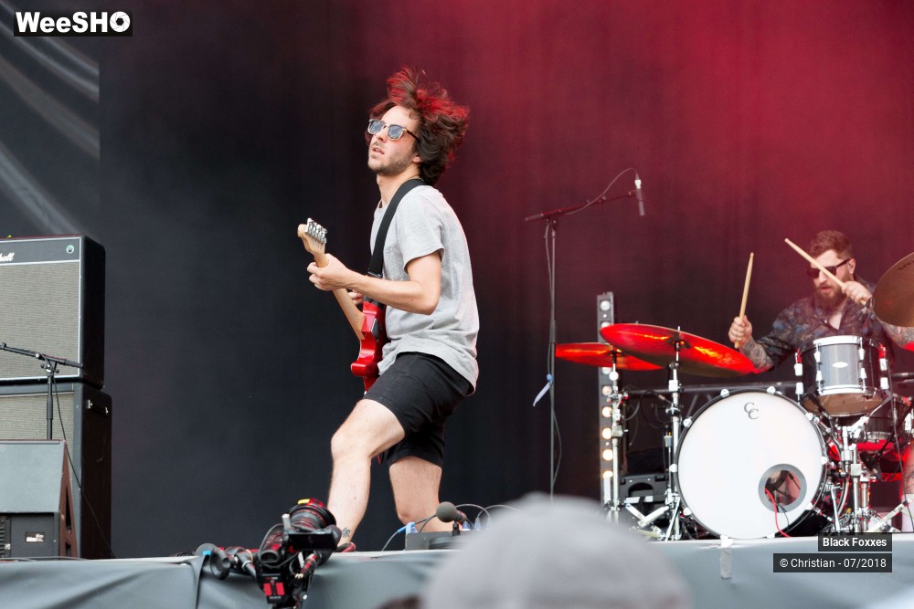 16/22 photos du spectacle Black Foxxes