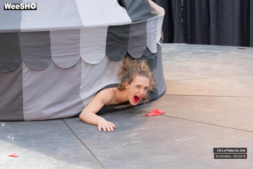 21/31 photos du spectacle L'oeil de la Bête
