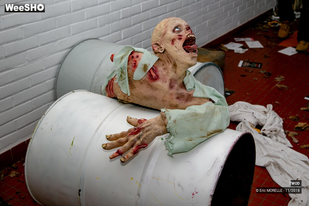 13/50 photos du spectacle TWOD le parcours : L'Abattoir
