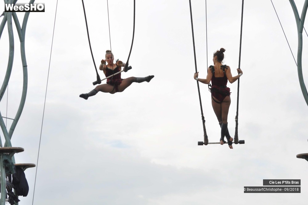 35/48 photos du spectacle L'Odeur de la Sciure