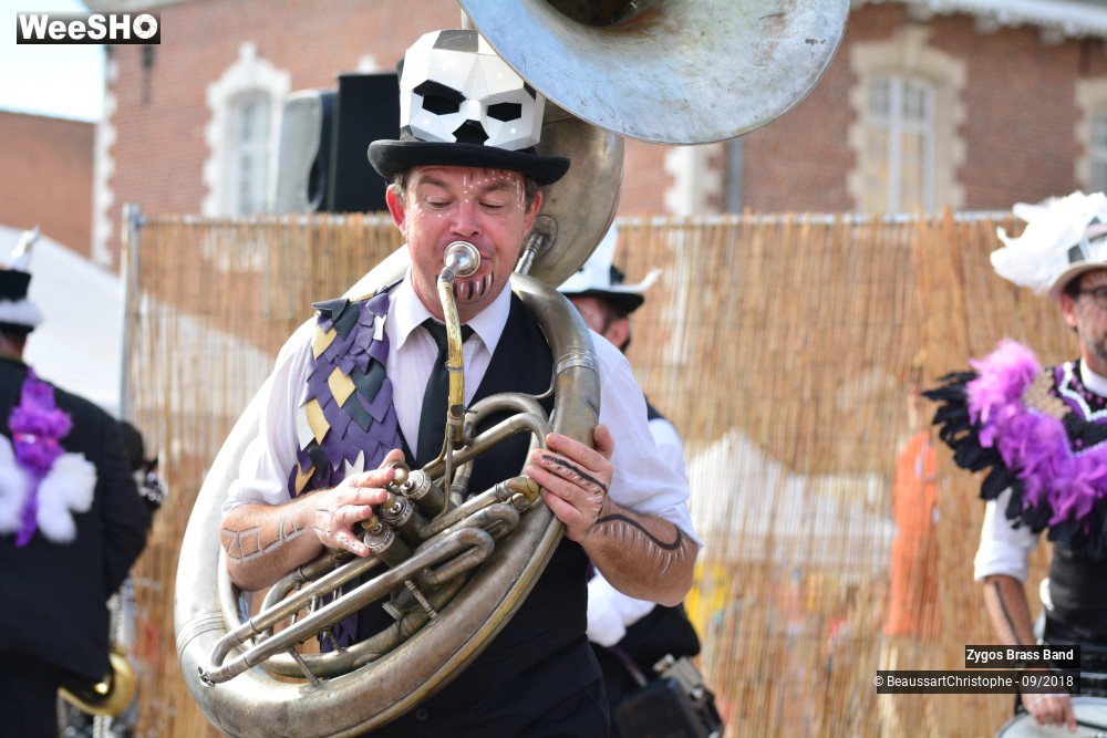 31/42 photos du spectacle TRYBZ
