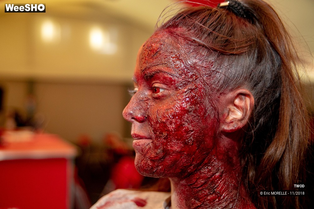 23/50 photos du spectacle TWOD : les maquillages