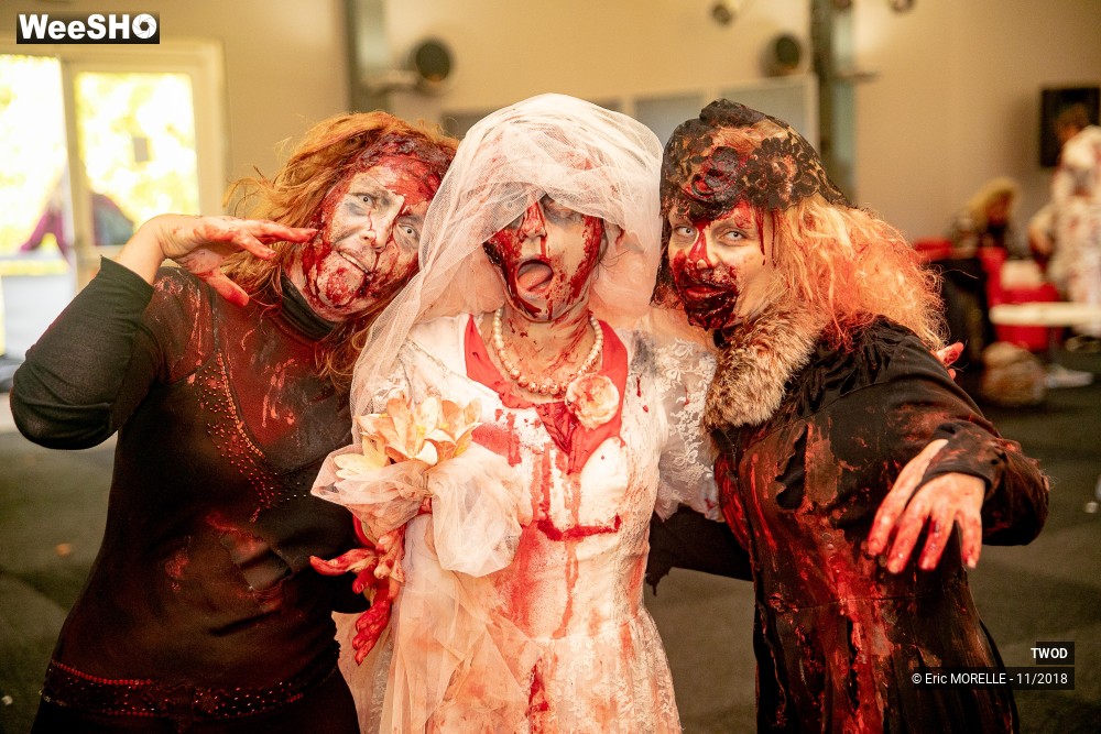 39/50 photos du spectacle TWOD : les maquillages