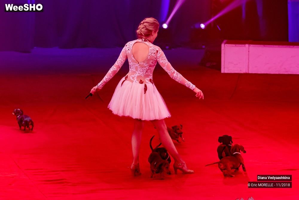 46/50 photos du spectacle Diana Vedyaashkina - Dressage