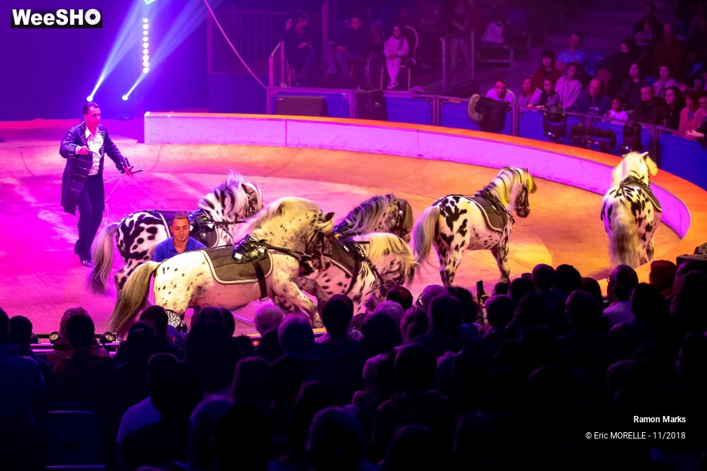 5/41 photos du spectacle Ramon Marks - dressage