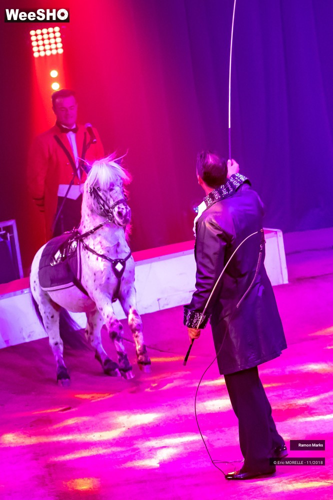 9/41 photos du spectacle Ramon Marks - dressage