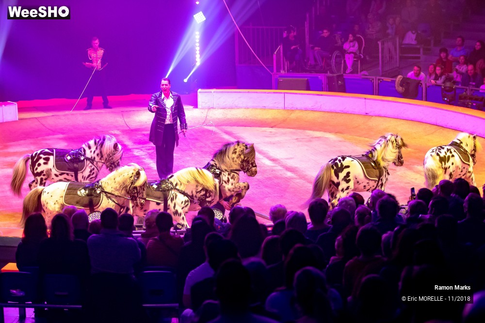 12/41 photos du spectacle Ramon Marks - dressage