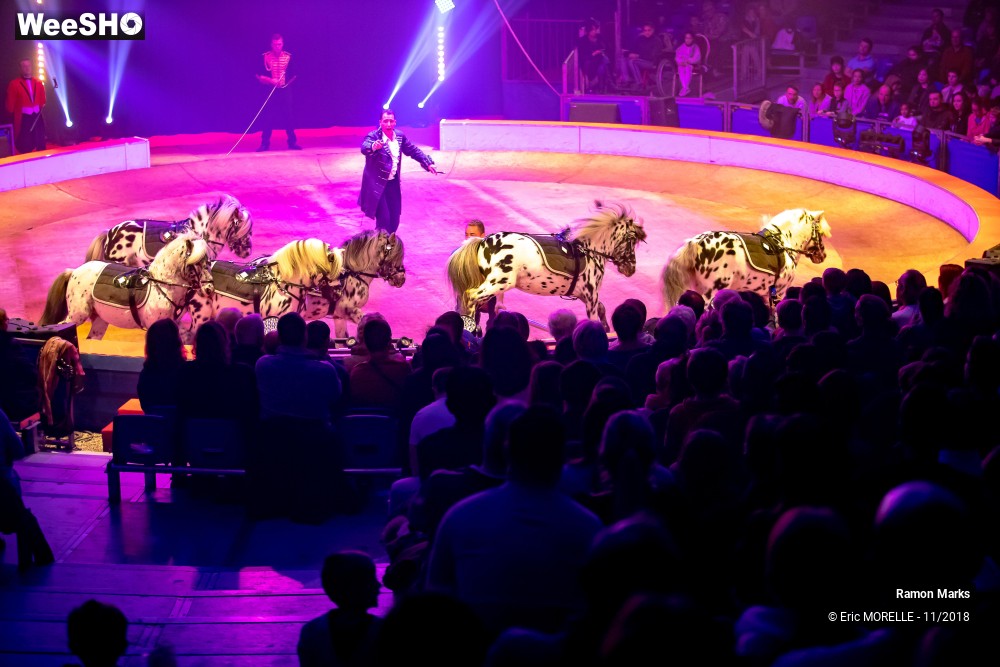 16/41 photos du spectacle Ramon Marks - dressage