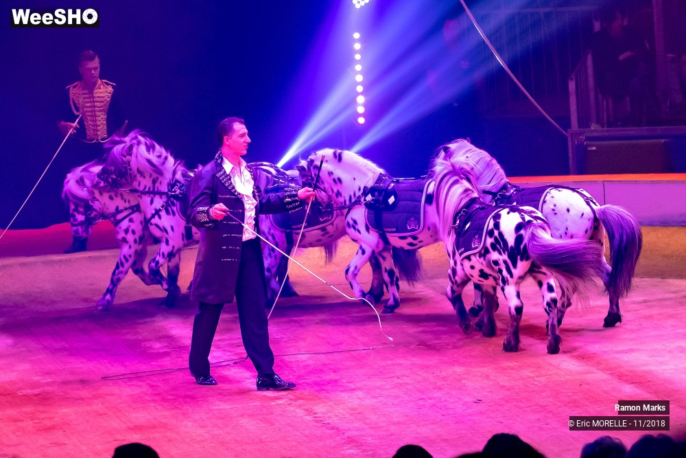 20/41 photos du spectacle Ramon Marks - dressage