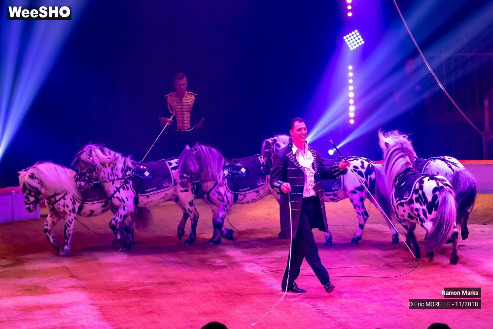 26/41 photos du spectacle Ramon Marks - dressage