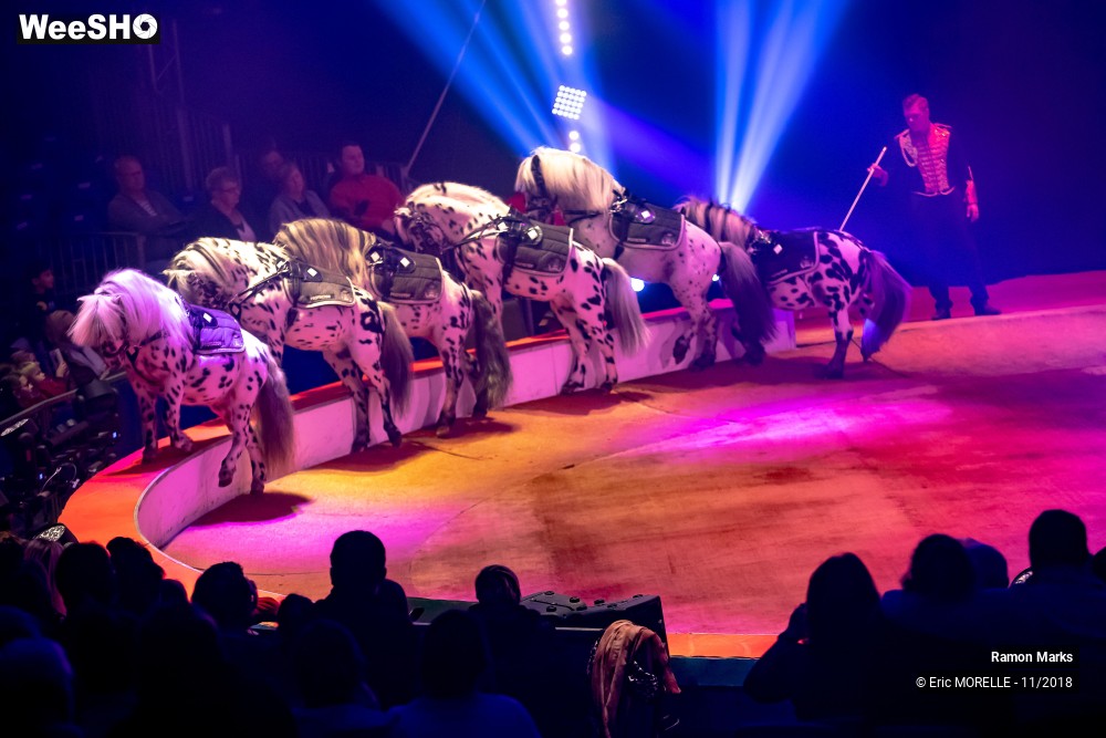 28/41 photos du spectacle Ramon Marks - dressage