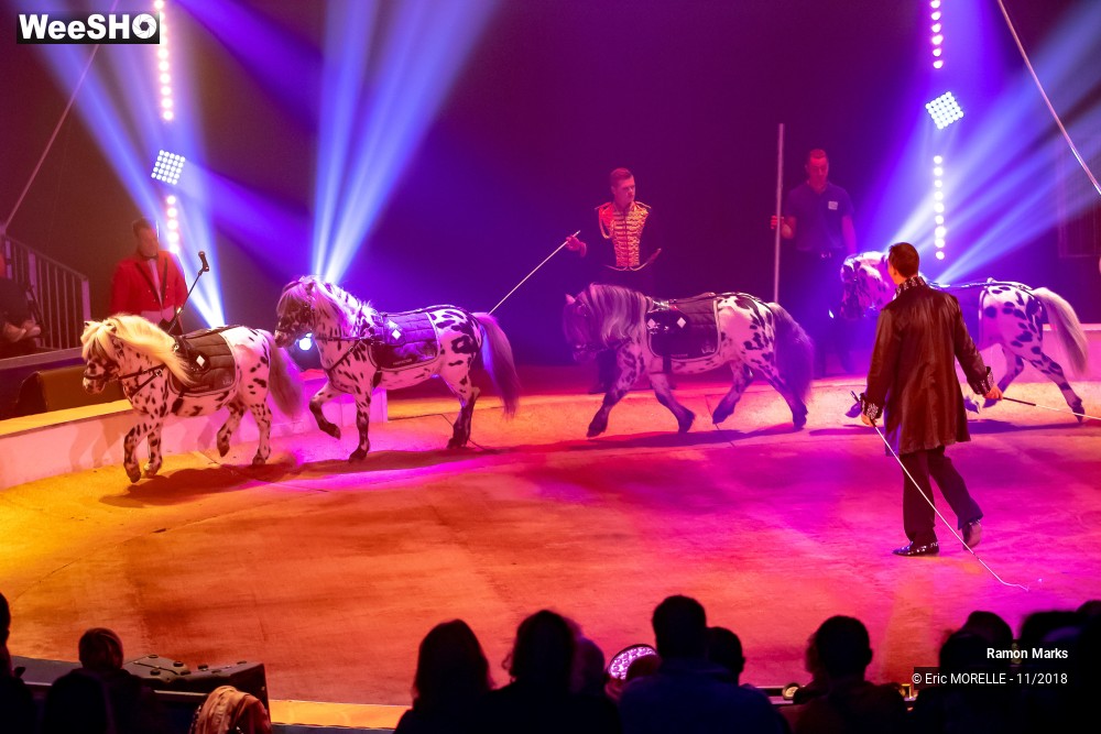 32/41 photos du spectacle Ramon Marks - dressage