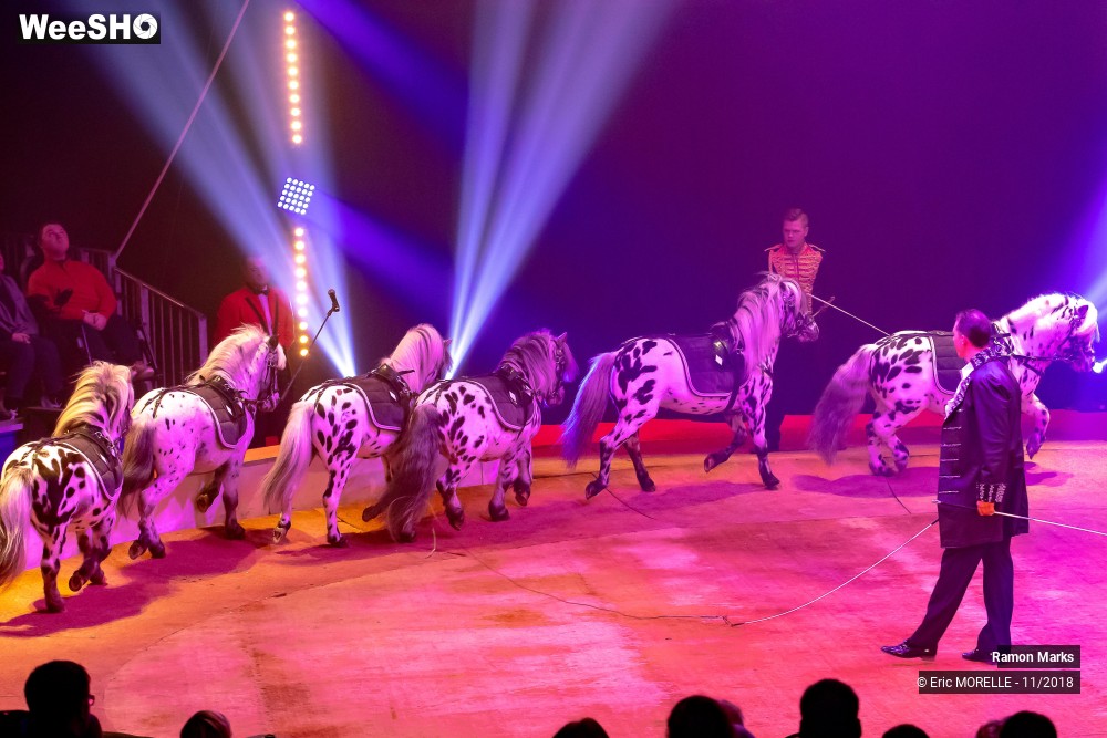 34/41 photos du spectacle Ramon Marks - dressage