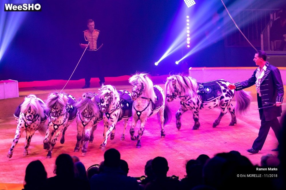 38/41 photos du spectacle Ramon Marks - dressage