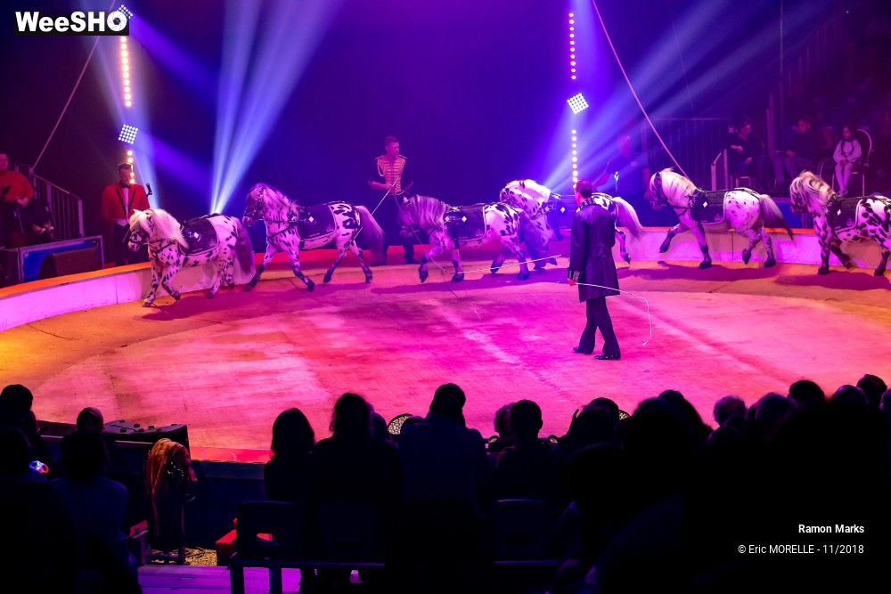 40/41 photos du spectacle Ramon Marks - dressage