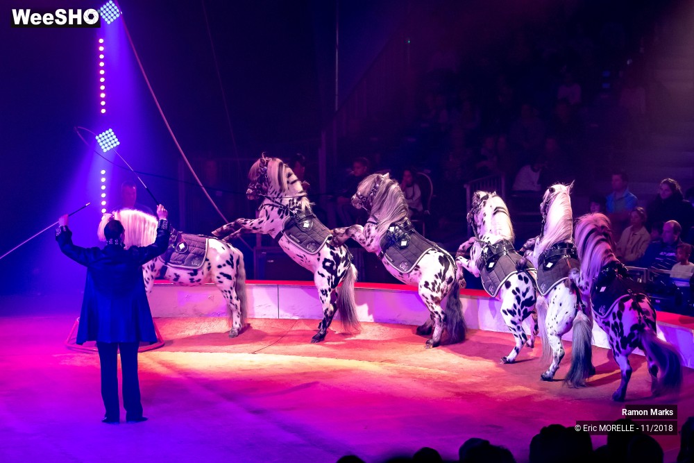 41/41 photos du spectacle Ramon Marks - dressage