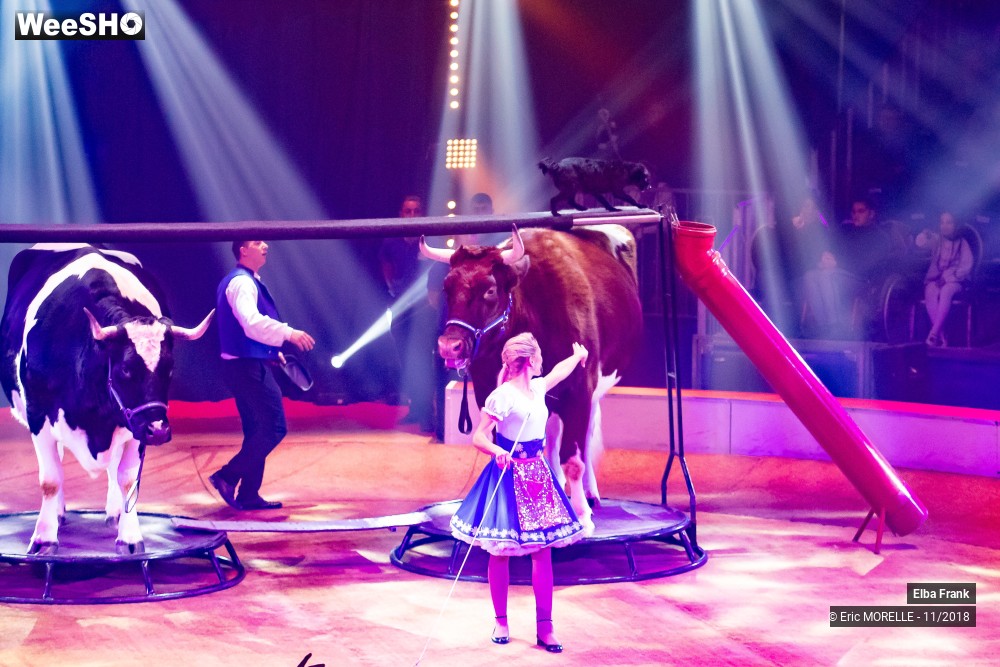 1/50 photos du spectacle Elba Frank  - dressage