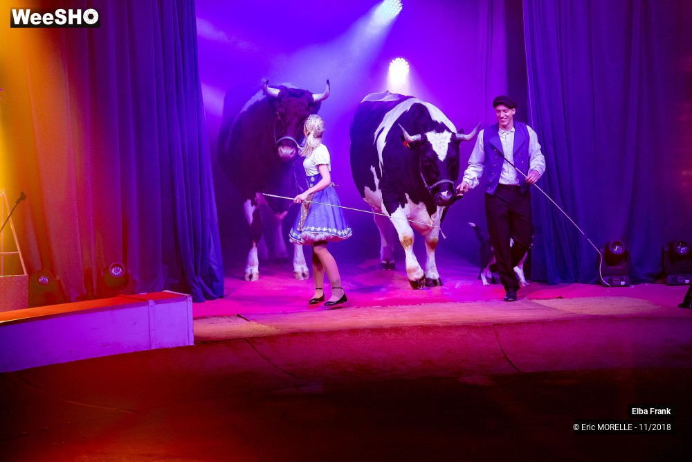 4/50 photos du spectacle Elba Frank  - dressage