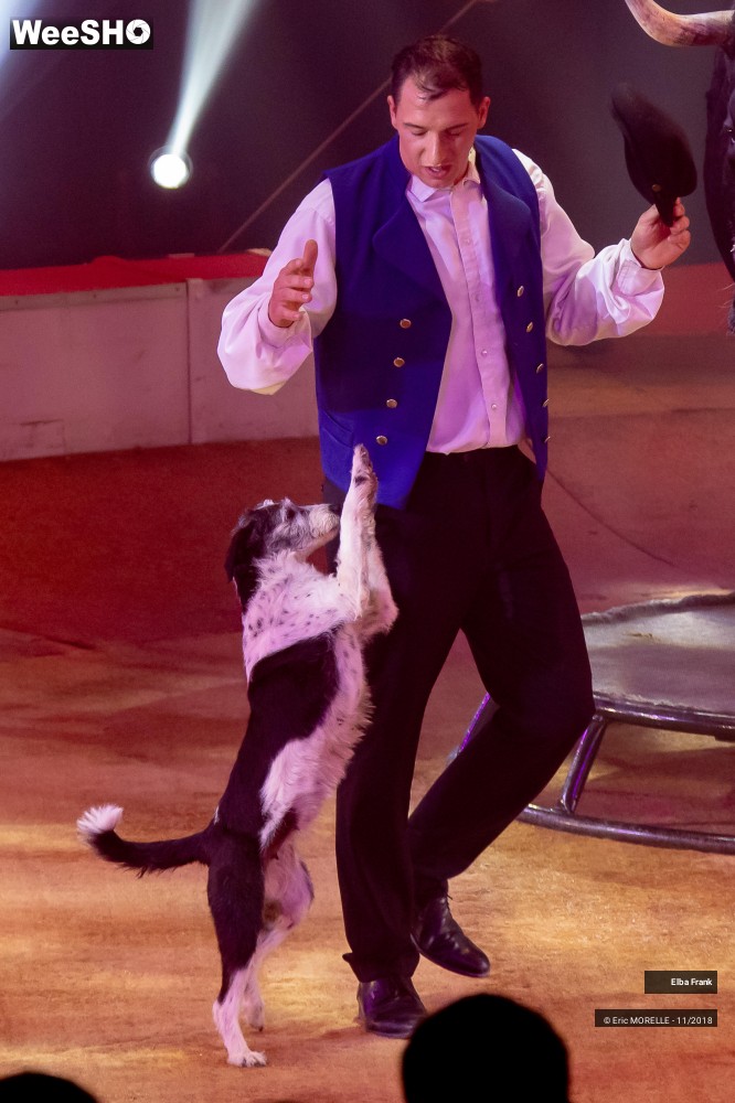 6/50 photos du spectacle Elba Frank  - dressage