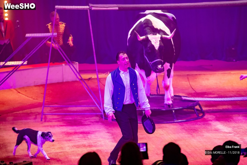 25/50 photos du spectacle Elba Frank  - dressage
