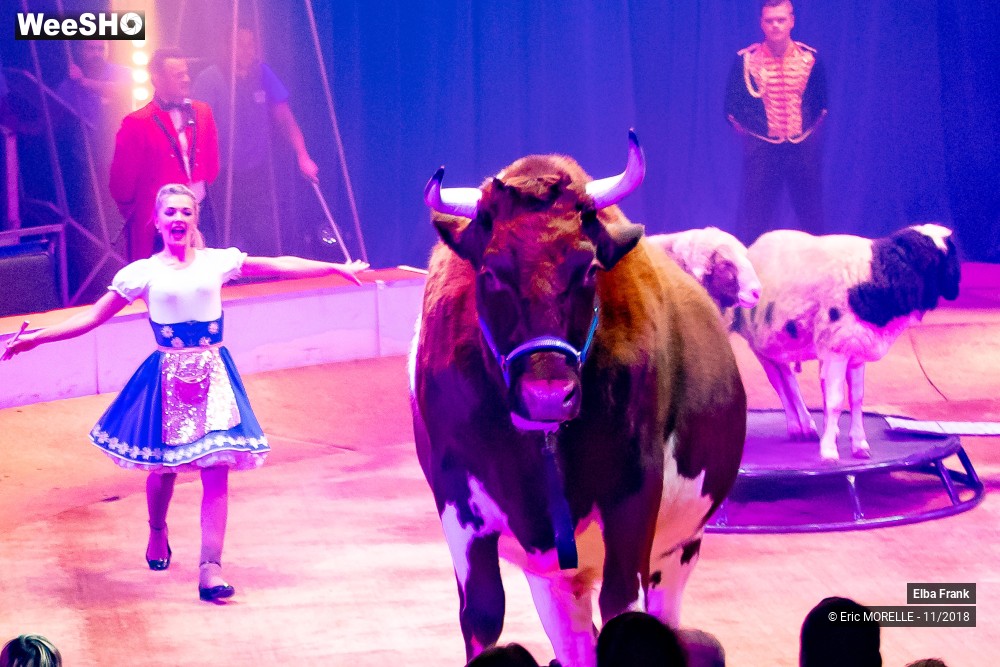 31/50 photos du spectacle Elba Frank  - dressage