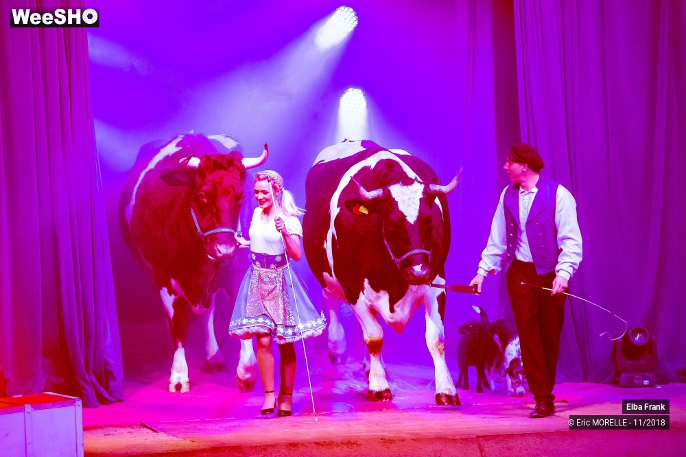 38/50 photos du spectacle Elba Frank  - dressage