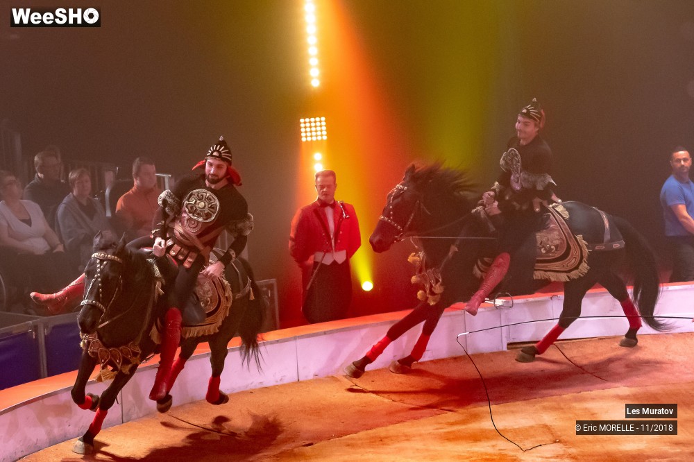 1/50 photos du spectacle Les Muratov - Equestre