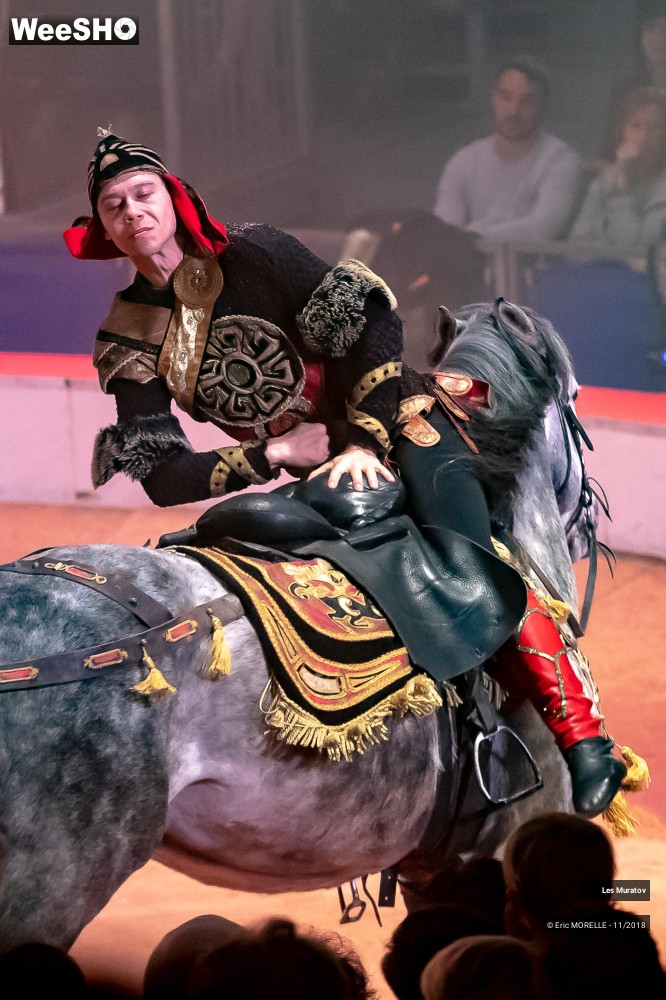 5/50 photos du spectacle Les Muratov - Equestre