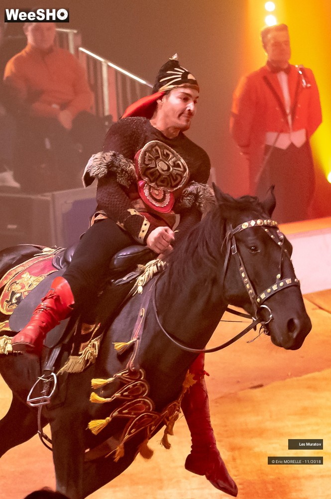 6/50 photos du spectacle Les Muratov - Equestre