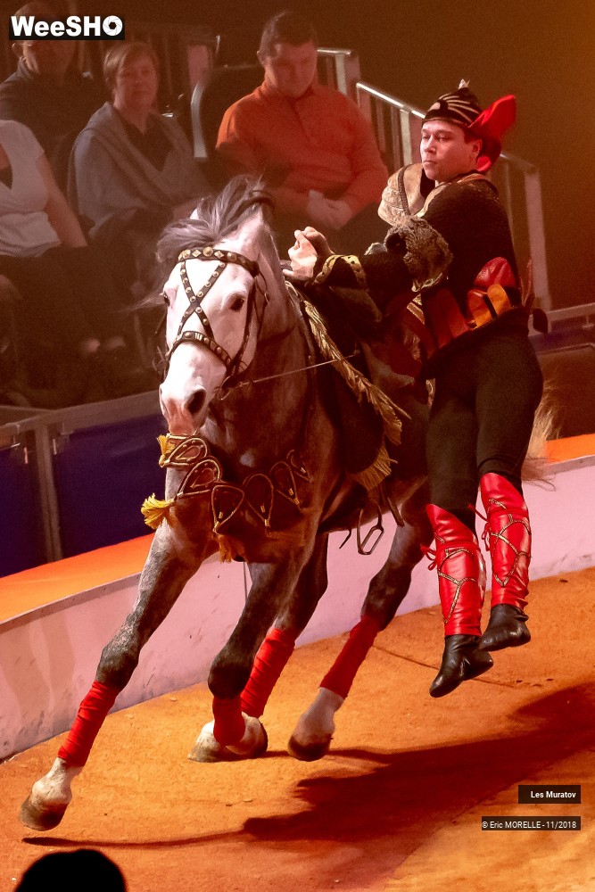 7/50 photos du spectacle Les Muratov - Equestre