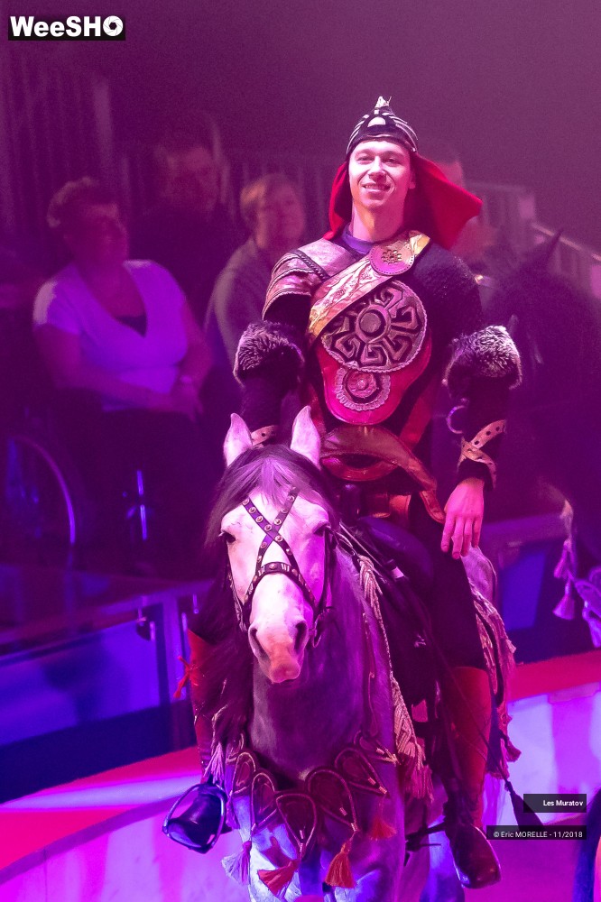 8/50 photos du spectacle Les Muratov - Equestre