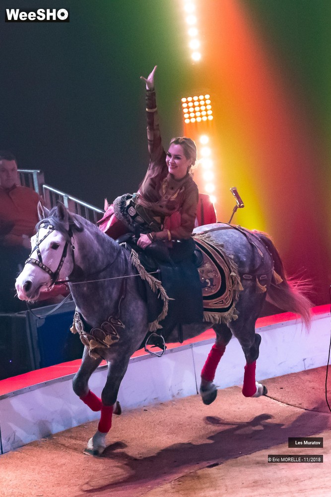 9/50 photos du spectacle Les Muratov - Equestre