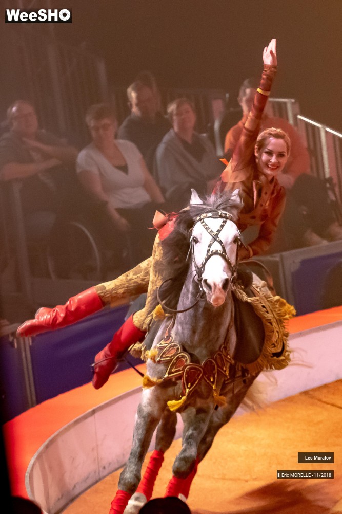 11/50 photos du spectacle Les Muratov - Equestre