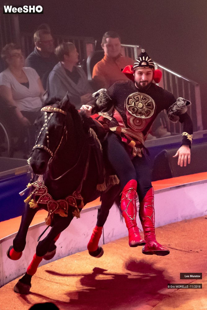 12/50 photos du spectacle Les Muratov - Equestre
