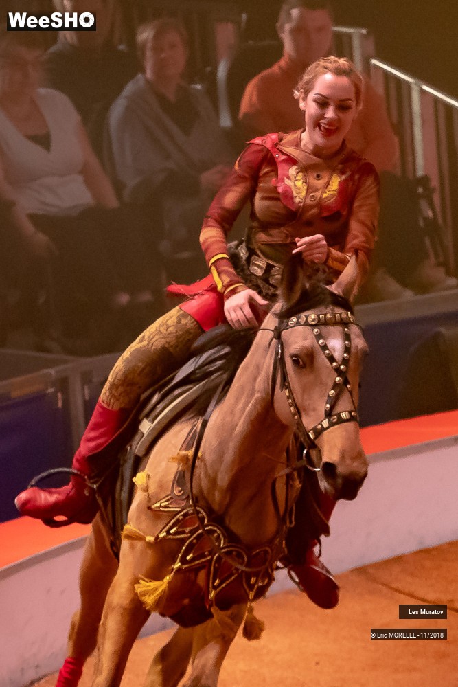 14/50 photos du spectacle Les Muratov - Equestre