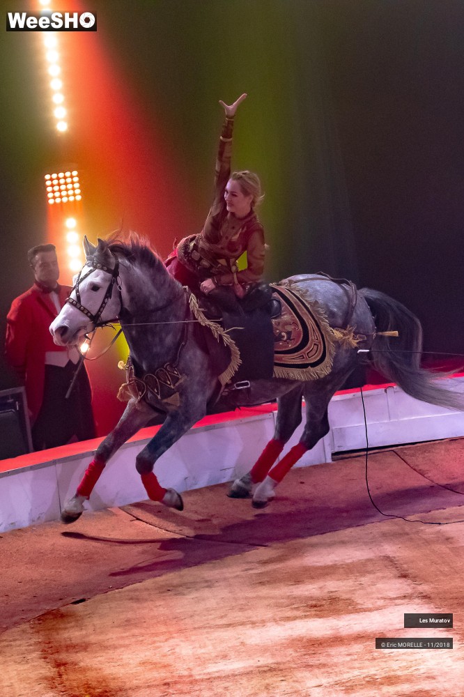 15/50 photos du spectacle Les Muratov - Equestre