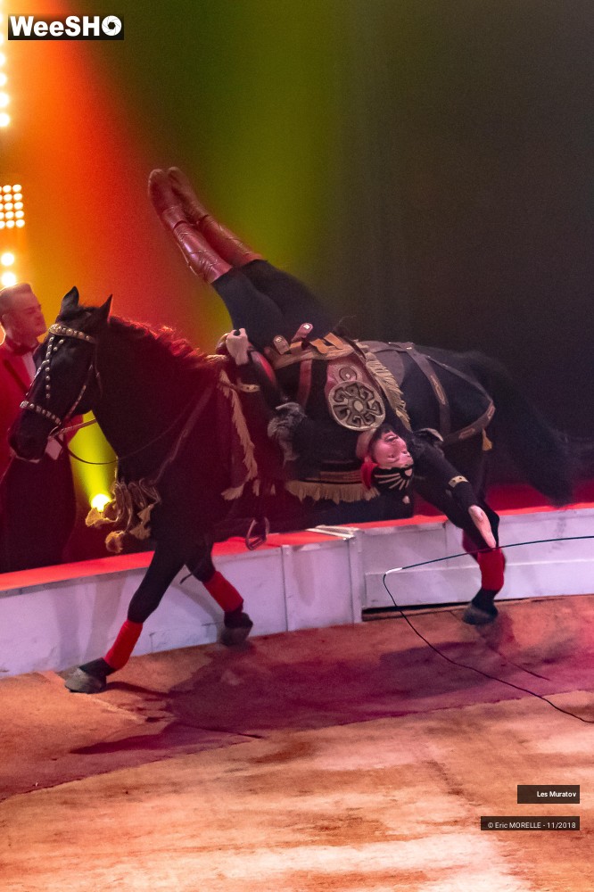 16/50 photos du spectacle Les Muratov - Equestre