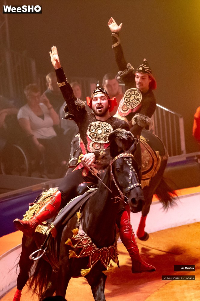 17/50 photos du spectacle Les Muratov - Equestre