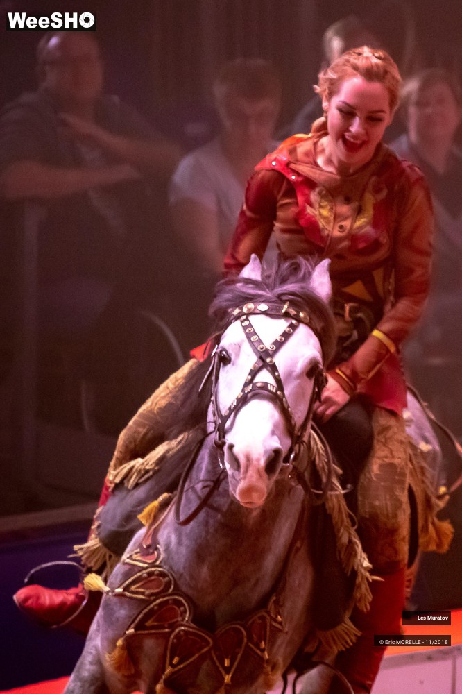 18/50 photos du spectacle Les Muratov - Equestre