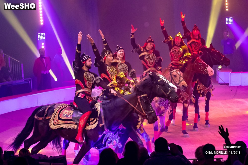 20/50 photos du spectacle Les Muratov - Equestre