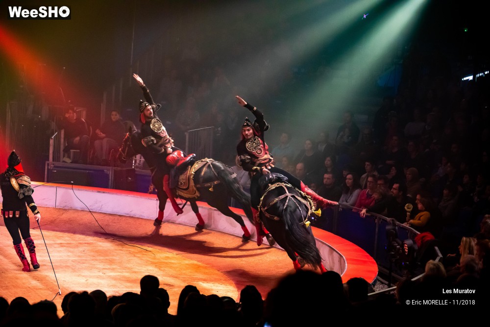 21/50 photos du spectacle Les Muratov - Equestre