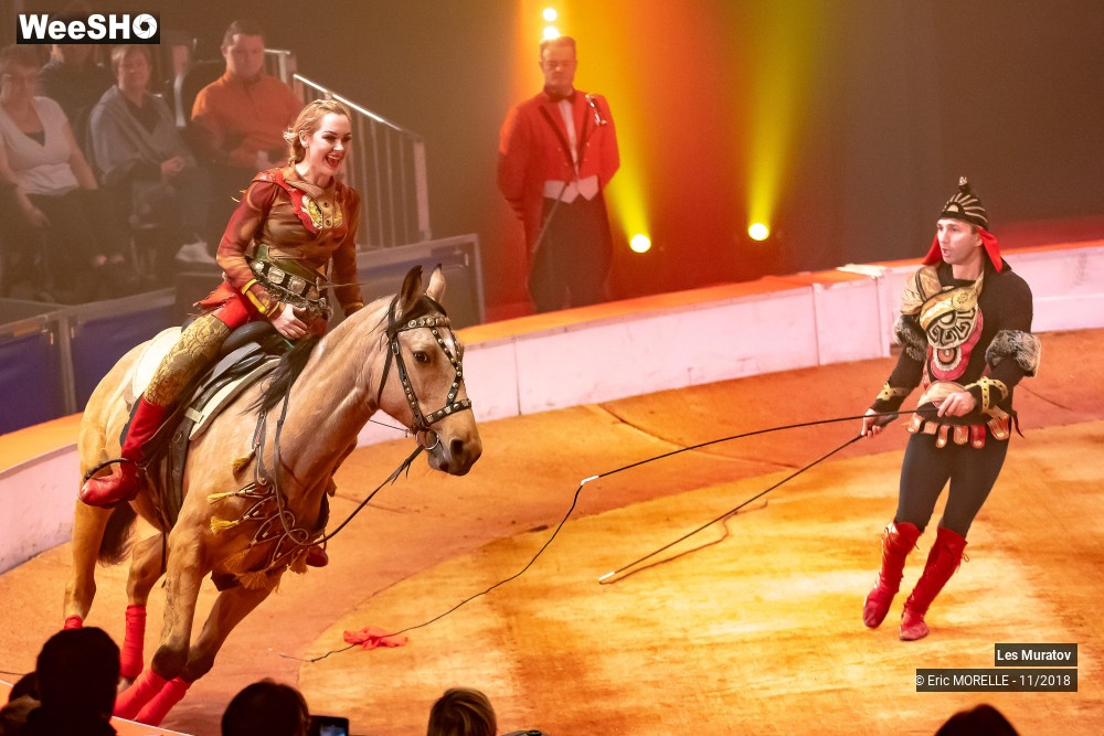 22/50 photos du spectacle Les Muratov - Equestre