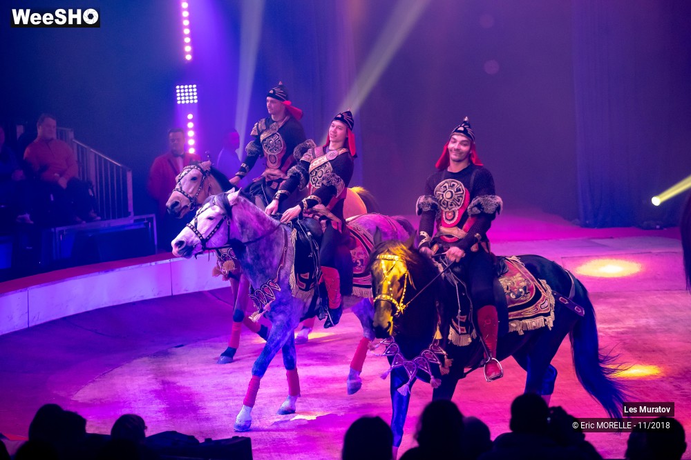 24/50 photos du spectacle Les Muratov - Equestre