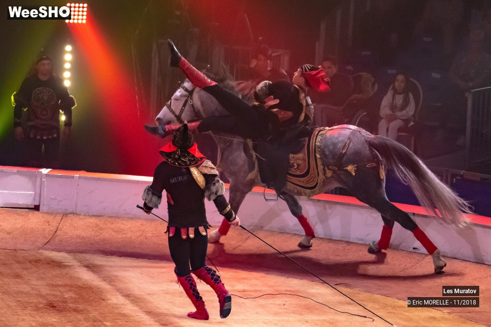 26/50 photos du spectacle Les Muratov - Equestre