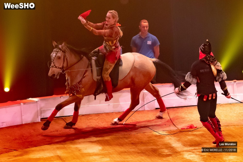 27/50 photos du spectacle Les Muratov - Equestre