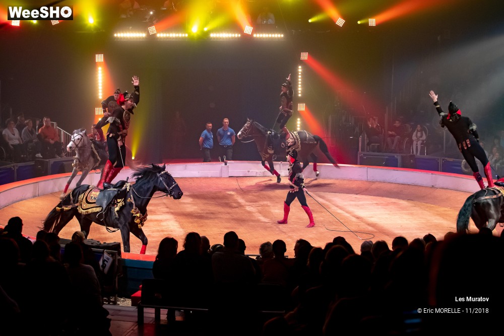 28/50 photos du spectacle Les Muratov - Equestre